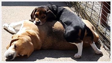 la vie en famille
