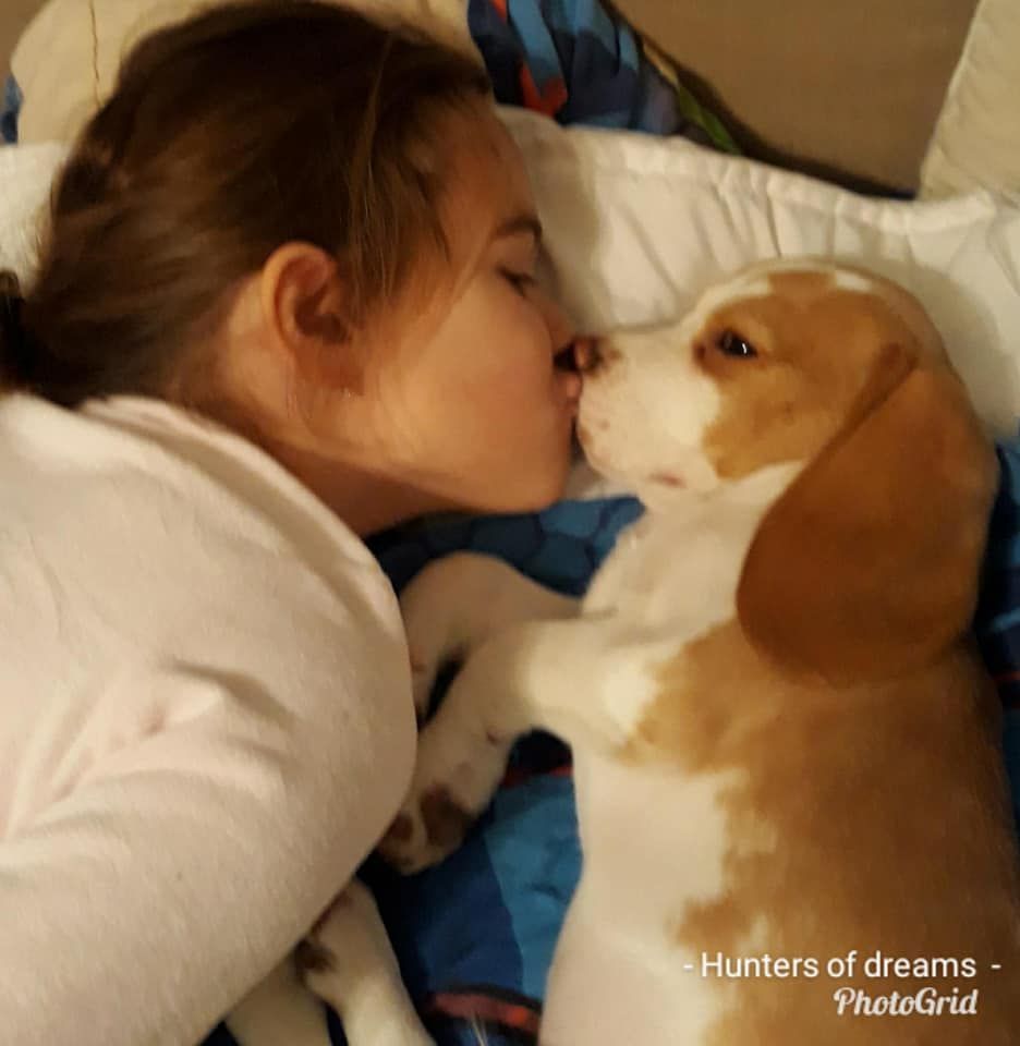 Caramel offert par l'élevage à la petite lola (ma nièce)